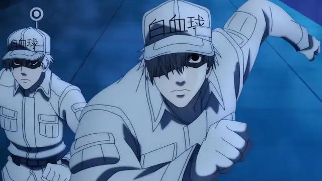 工作细胞第二季公开新PV：血小板被白血球吓得瑟瑟发抖，好可爱