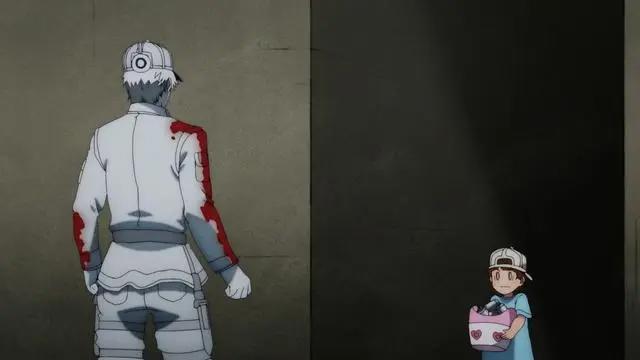 工作细胞第二季公开新PV：血小板被白血球吓得瑟瑟发抖，好可爱