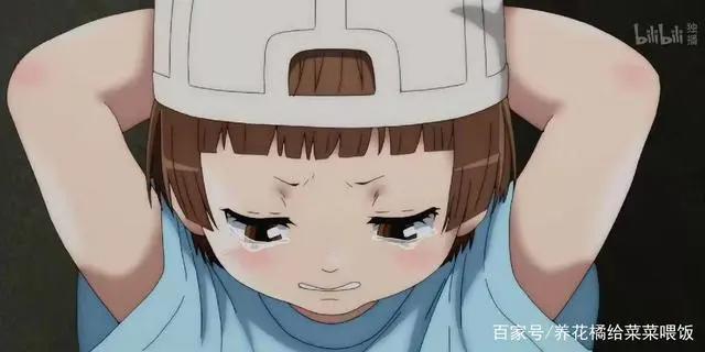 工作细胞第二季，开局卖萌可行