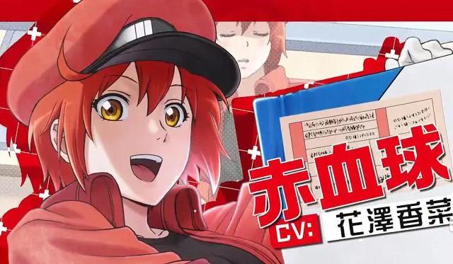 你们的血小板回来了，《工作细胞》第二季制作决定，PV已放出