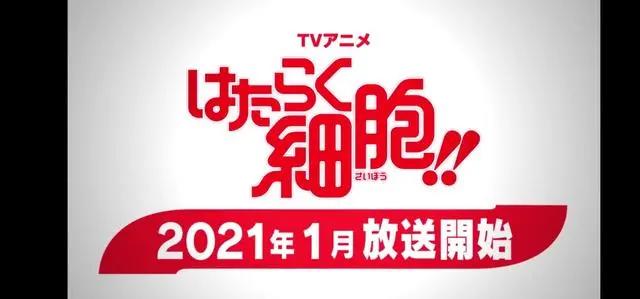 又一有生之年！锁定2021年1月！工作细胞第二季正式官宣！