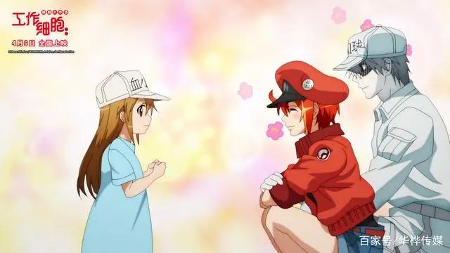 电影版《工作细胞》定档4月9日高萌上演身体保卫战