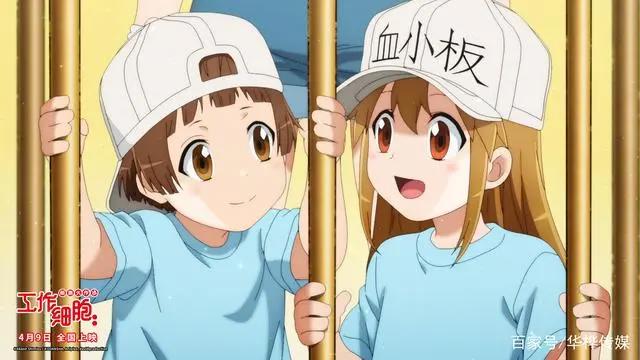 电影版《工作细胞》定档4月9日高萌上演身体保卫战