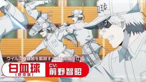 「工作细胞」第二季白细胞角色CM公开