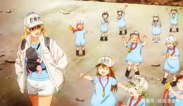 工作细胞第二季：御姐形象的“血大板”登场，傲娇而不失性感