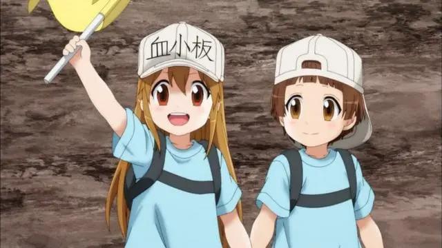 《工作细胞》第二季与BLACK同时开播，两边对比血小板不萌了？