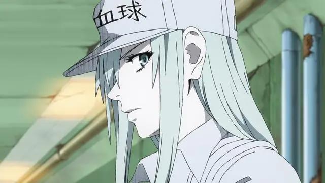 两部“工作细胞”动画开播，一部让人萌萌哒，一部让人害怕