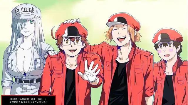 《工作细胞BLACK》最后暗示会出第二季？另一幅身体，更加黑心