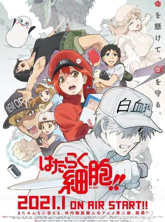 「资讯速递」萌系血小板再临，《工作细胞》动画第2季2021年开播