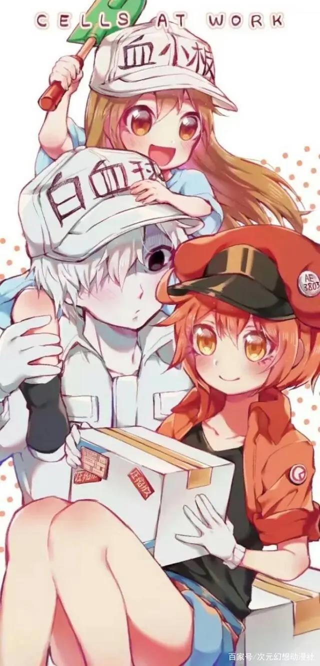 「资讯速递」萌系血小板再临，《工作细胞》动画第2季2021年开播