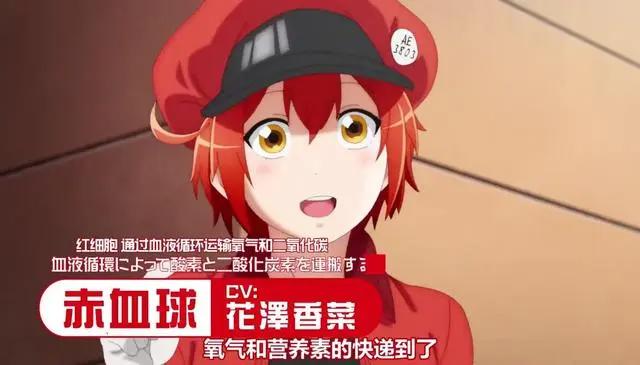 《工作细胞》第二季PV公开，血小板萌物回归，声优阵容太强悍