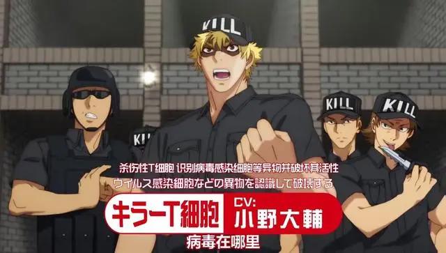 《工作细胞》第二季PV公开，血小板萌物回归，声优阵容太强悍