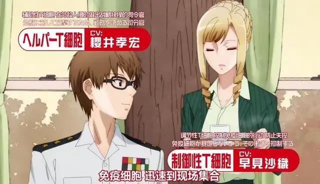 《工作细胞》第二季PV公开，血小板萌物回归，声优阵容太强悍