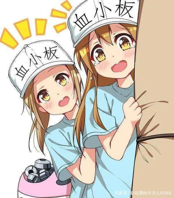 动漫《工作细胞》盘点和第二季《工作细胞black》的消息