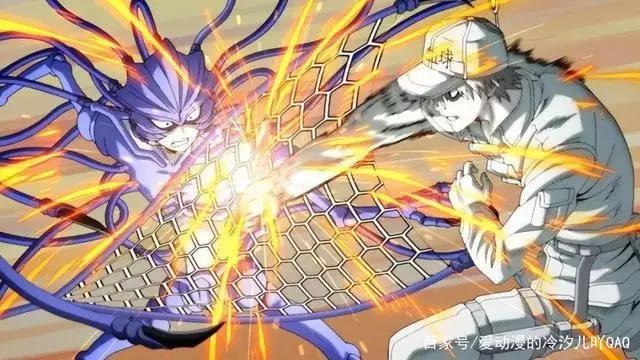 动漫《工作细胞》盘点和第二季《工作细胞black》的消息