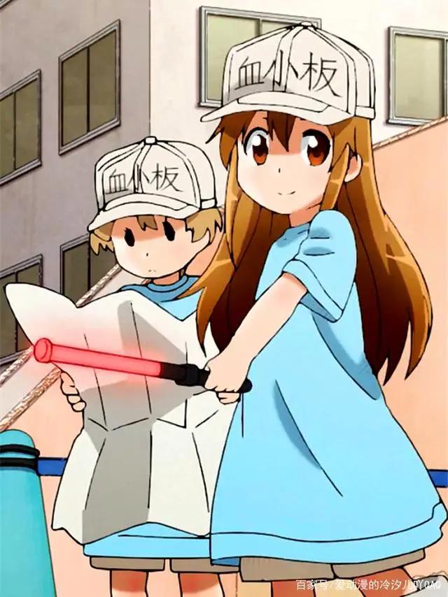 动漫《工作细胞》盘点和第二季《工作细胞black》的消息