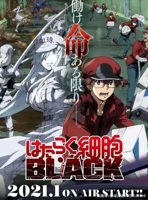 动漫《工作细胞》盘点和第二季《工作细胞black》的消息