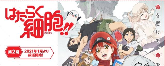 科普动漫《工作细胞》第二季来了，但小萝莉和小哥哥们都没了！