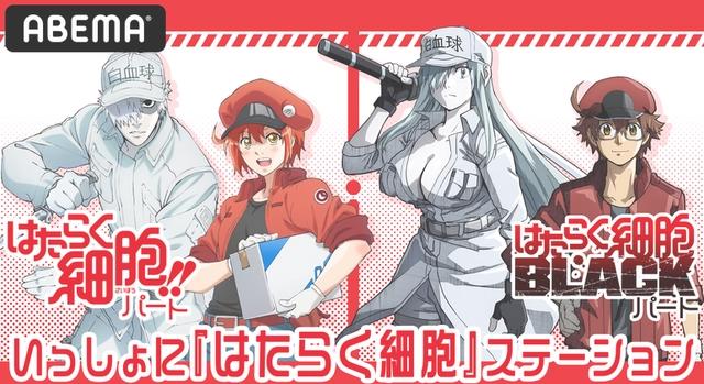 科普动漫《工作细胞》第二季来了，但小萝莉和小哥哥们都没了！