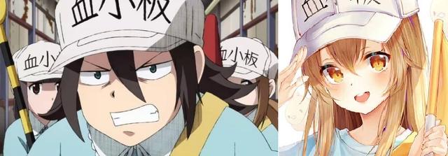 科普动漫《工作细胞》第二季来了，但小萝莉和小哥哥们都没了！