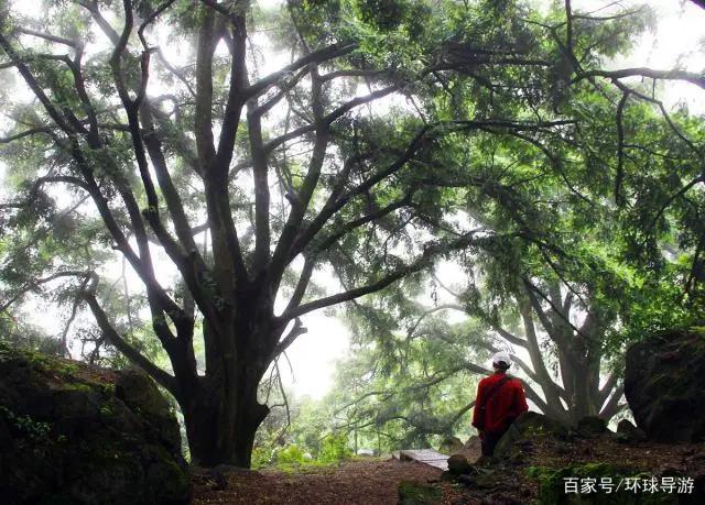 越国古都，西施故里，浙江诸暨最美的八个旅游景点