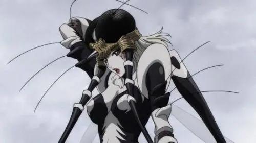 《一拳超人》全部女性角色介绍