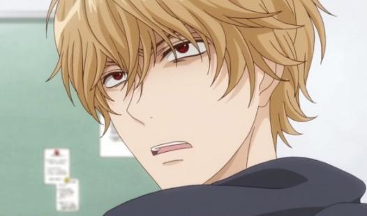 《狼少女和黑王子》少女动漫，对于里边的人物是否有印象