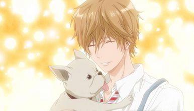 狼少女与黑王子：一场谎言成就的一段姻缘，融化你的少女心