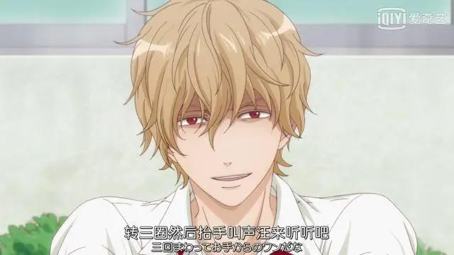 《狼少女与黑王子》——不同于普通的恋爱动漫