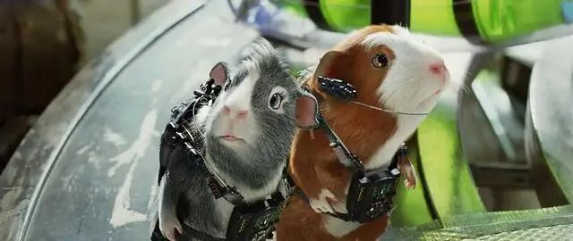 盘点｜打破次元壁，真人与卡通联合出演的电影之3D角色篇