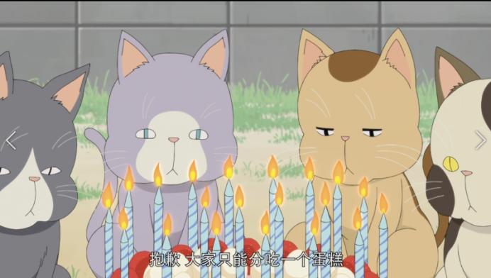 4岁独居男孩的故事，给父母上了一课：孩子对父母的爱是最无私的