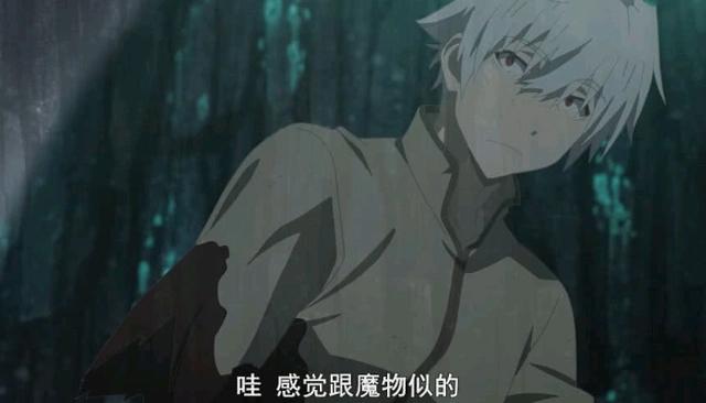 《平凡职业造就世界最强》为何不火？小说很好看，动漫PTT