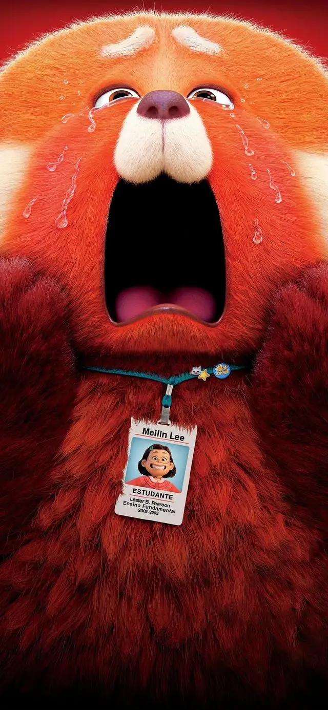 发福利！青春变形记（无水印高清）壁纸合集！你确定不要吗？