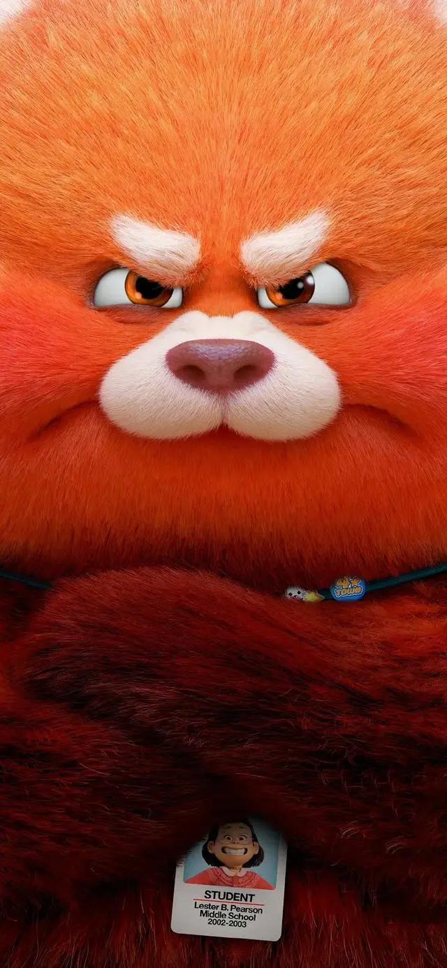 发福利！青春变形记（无水印高清）壁纸合集！你确定不要吗？