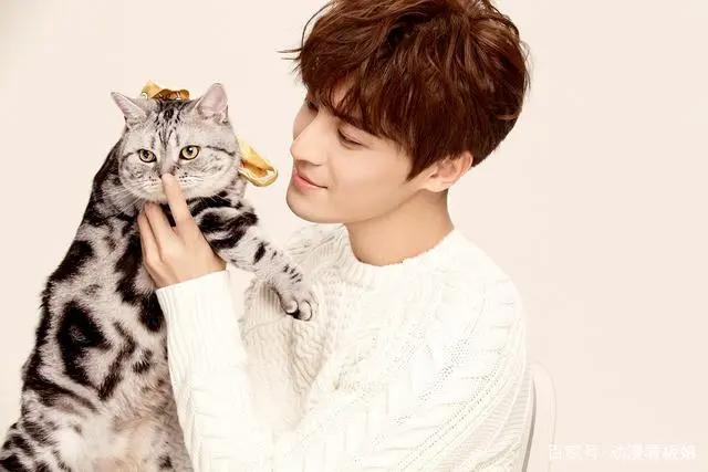 斗罗大陆6大版本，动画版好评超越原著，真人版肖战、吴宣仪背锅