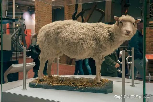 《终末的后宫》连克隆人都能正常生活，这说明科技技术真的很高