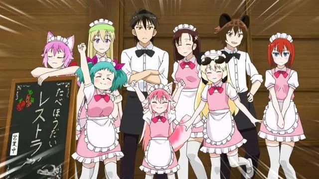 一月番《终末的后宫》人气这么高，它的制作公司还做过哪些动画？