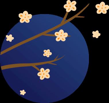 优酷动漫秋季片单，热烈来袭！