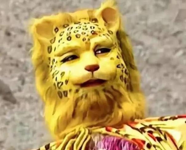 看《小虎墩大英雄》，感受三大文化基因，这趟镖与孩子一起守护！