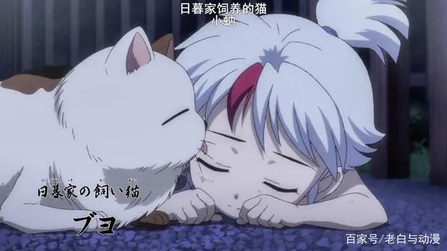 《半妖的夜叉姬》第二集播出后，风评下滑，网友直呼看不懂！