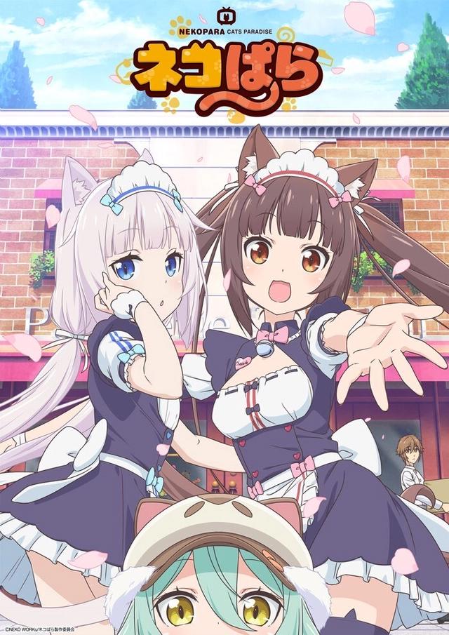 2020年新番导视：多部有生之年动画重出江湖（番剧加剧场版）