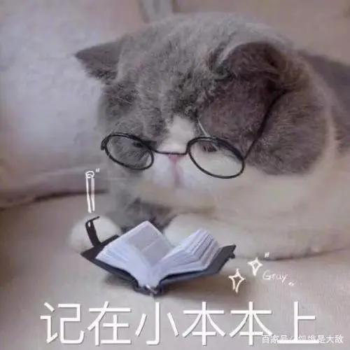 2020年秋季票选最值得一看的动漫新番，出乎意料的黑马夺冠！
