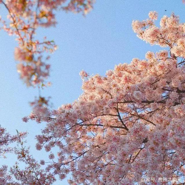 《更衣人偶坠入爱河》喜多川海梦cosplay