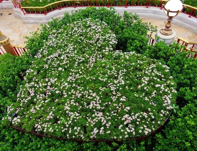 【Disneyland】亲临上海迪士尼，少女心爆棚