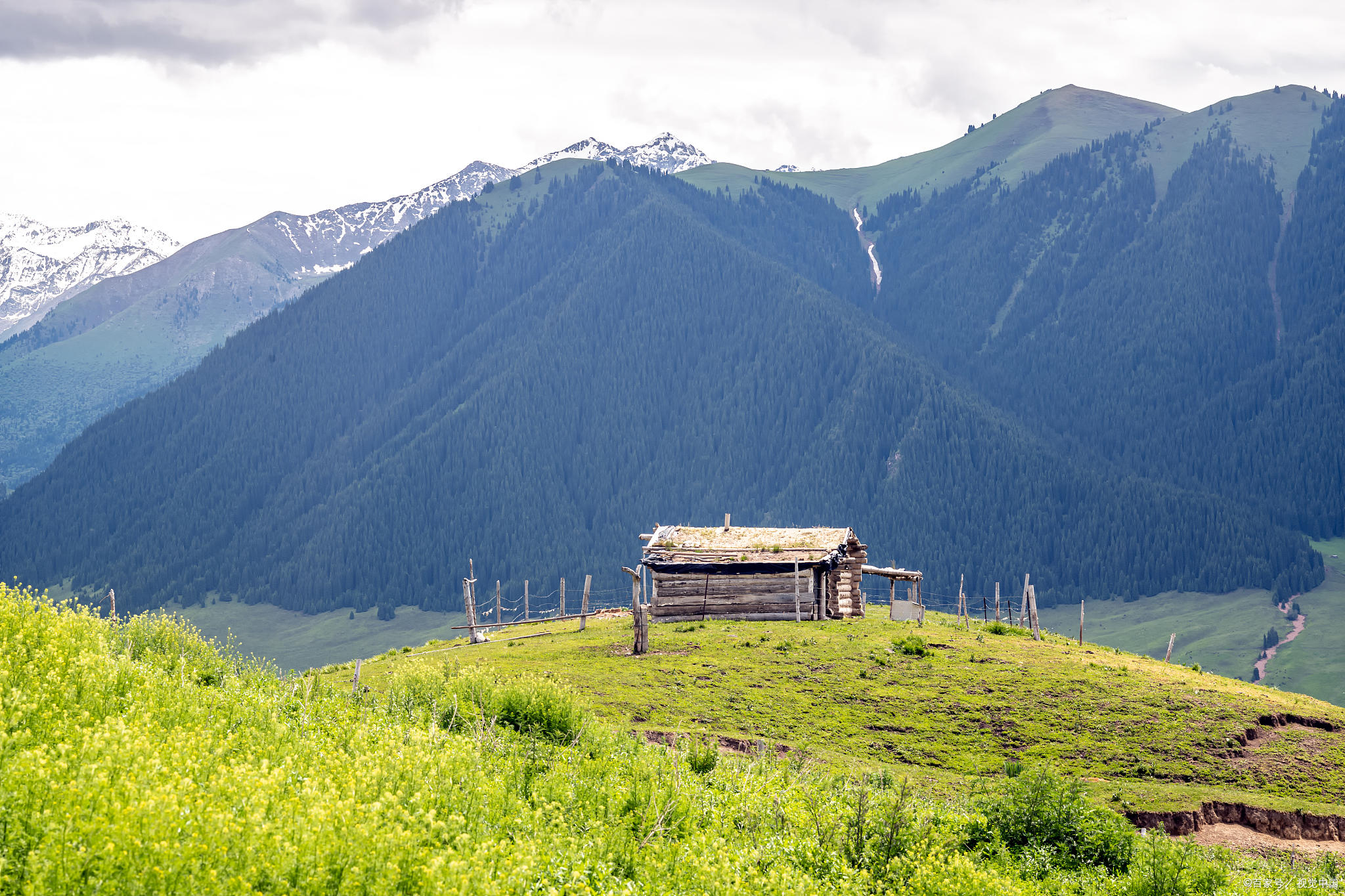 精心整理105句宫崎骏经典动漫语录：一切都会好的