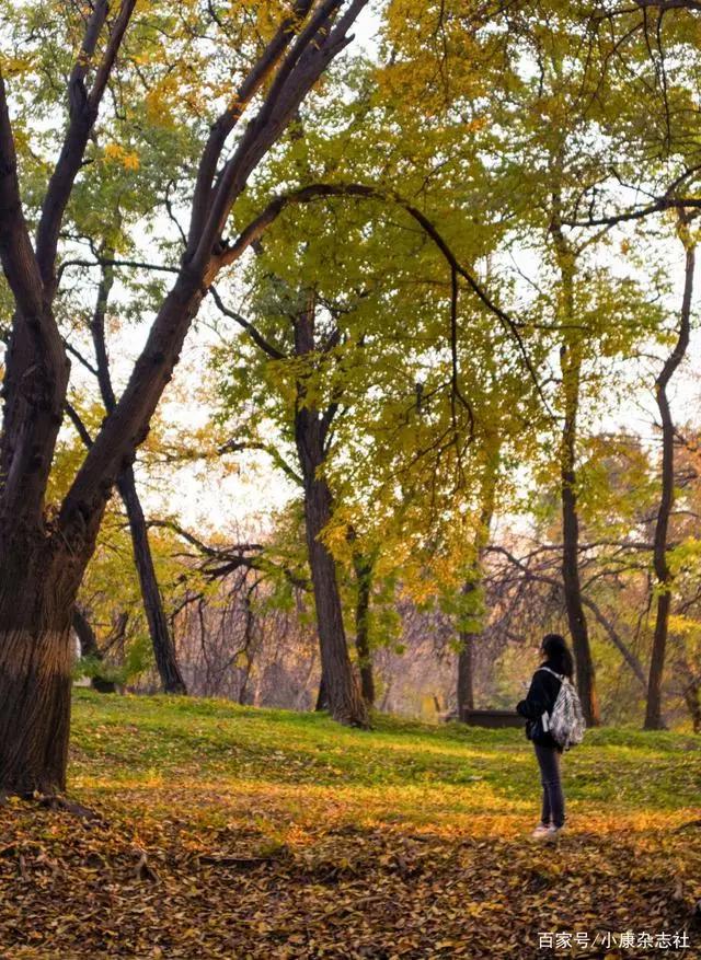 Z世代新青年登场！2021，用镜头记录下他们的青春模样（下）