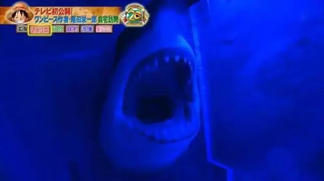 《海贼王》作者超级豪宅曝光，年入30亿，把钱都花在家上了吧