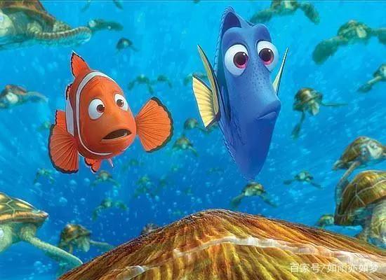 《海底总动员》世界观就是茫茫一片海