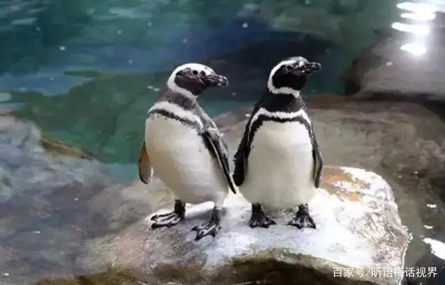 海底小纵队火焰之环大电影浓情上映曲江海洋馆免费送票