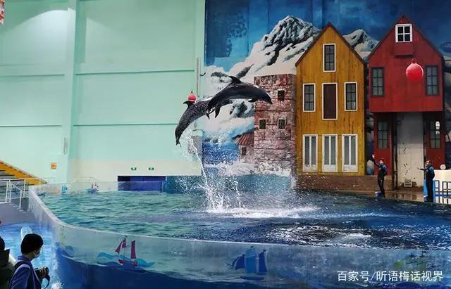 海底小纵队火焰之环大电影浓情上映曲江海洋馆免费送票